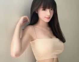 公司介绍